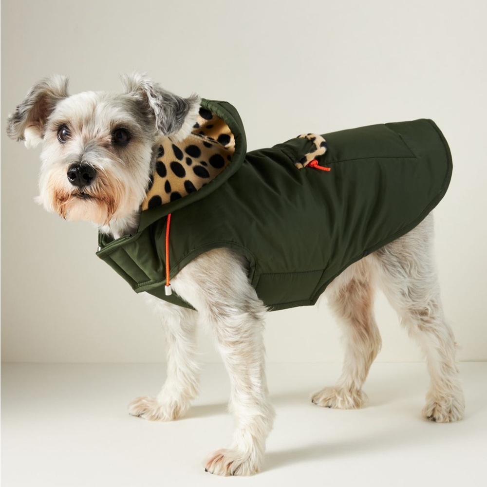 Stylish Green Dog Jacket with Leopard Print Hood